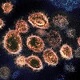 Respiratory Viral Panel
